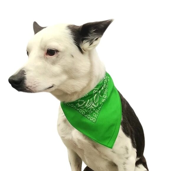 Green Yellow Orange Colorful Bandanas 21x21 Inch Square Western Style Scarves Se - Picture 6 of 10